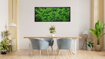 Картина мох и подушечный мох 100х50 см.