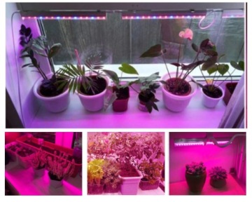 Светодиодная лента 5050 300D GROW рост растений 1 м
