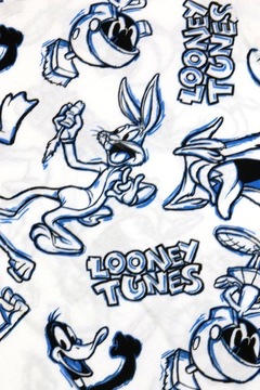 Looney Tunes Zwariowane melodie Koszulka męska r. M T-shirt biała