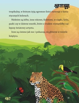 Нела и ворота АМАЗОНИИ