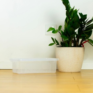 4X ПЛАСТИКОВЫЙ КОНТЕЙНЕР С ЗАКРЫТОЙ КРЫШКОЙ ПРОЗРАЧНАЯ КОРОБКА