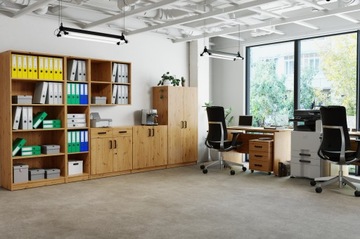 Верхний кабинет 2F Oak Artisan Office Furniture Nova Office Mro-Mil Meble