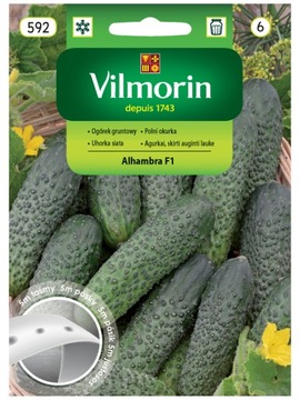 Ogórek gruntowy ALHAMBRA F1 taśma 5 m Vilmorin