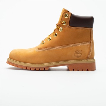 Timberland 6 Inch TB0129097131 36