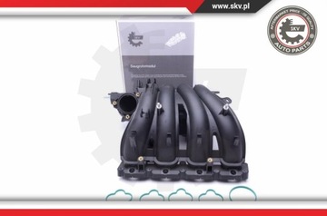 KOLEKTOR NASÁVÁCÍ 49SKV043 CITROEN PEUGEOT 407 607, 2.2 BENZÍN 0361Q6