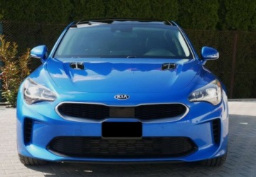 Kia Stinger Liftback 2.0 T-GDI 255KM 2018 Kia Stinger Kia Stinger 2.0 T-GDI GT Line 2.0 Benzyna 255KM, zdjęcie 6