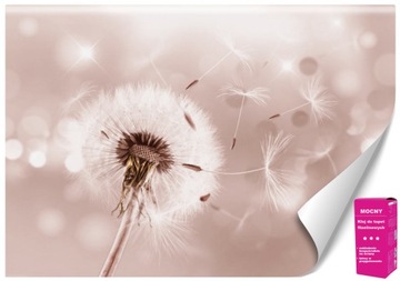 Tapeta Flizelinowa Wiatr Blask Dmuchawiec + GRATIS