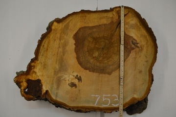 Срез каштана для смол 64x52см гр.8см