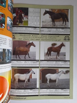 HORSE WORLD Национальный конный журнал 1 / 2009