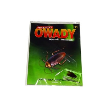 Kolekcja Prawdziwe Owady 11 PRZYBYSZKA AMERYKAŃSKA