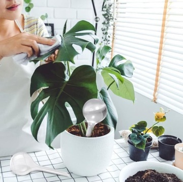 10x KULE NAWADNIAJĄCE DO KWIATÓW ROŚLIN DOZOWNIK WODY DO PODLEWANIA DOMOWY