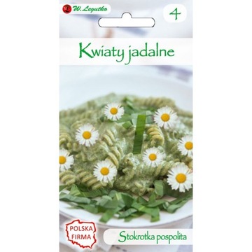 Stokrotka pospolita nasiona Legutko kwiaty jadalne