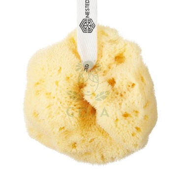 NATURALNA GĄBKA FINA SILK DUŻA NESTED