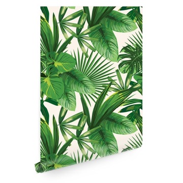Tapeta liście palmy monstera T01638