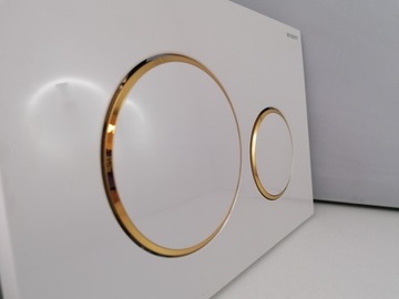 SIGMA20 ПЕРЕДНЯЯ КНОПКА BI-GOLD-BI (ШТ)