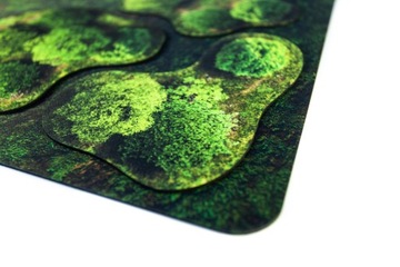 2D УНИВЕРСАЛЬНЫЕ ОБЛАСТИ - ЛЕС