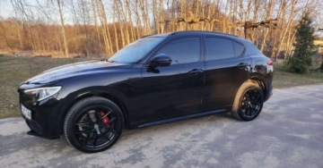 Alfa Romeo Stelvio SUV Facelifting 2.0 Turbo 280KM 2020 Alfa Romeo Stelvio Alfa Romeo Stelvio 2.0 Turbo Veloce Q4 2.0 Benzyna 280KM, zdjęcie 30