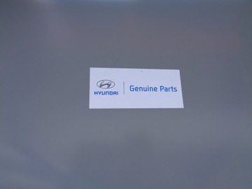 BLATNÍK PRAVÝ PŘEDNÍ HYUNDAI IONIQ 17- NR 45024