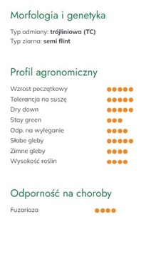 Семена кукурузы SM Pomerania FAO200 50 тыс. нас.