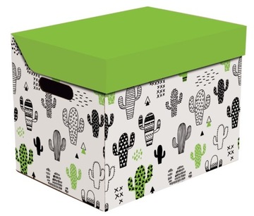 Mocne pudełko kartonowe ozdobne dekoracyjne w nowoczesnym stylu KAKTUSY