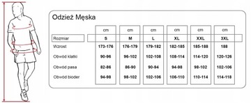 BIELIZNA BEZSZWOWA TERMOAKTYWNA MĘSKA 4F DÓŁ L/XL