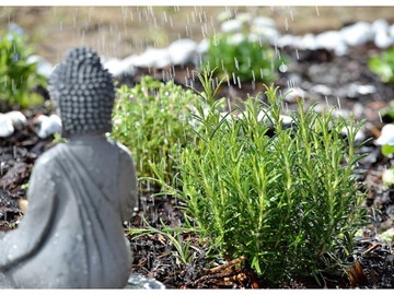 Спринклерная и ирригационная система для сада Royal Gardineer