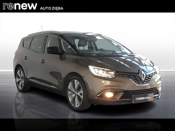 Renault Grand Scenic III 2019 Scenic Gr. 1.3 TCe FAP Intens EDC, zdjęcie 6