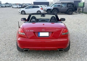 Mercedes SLK R171 Roadster 3.0 V6 (300) 231KM 2010 Mercedes-Benz SLK SLK 300 Cabrio 3.0 Benz 231 KM 2010r Warszawa 3.0, zdjęcie 10