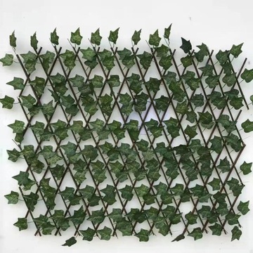 Osłona Balkon 50x200 cm Bluszcz Zielona Ścian