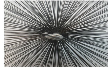 ZESTAW DO CZYSZCZENIA KOMINA 3,5KG 15M DRUT