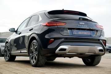 Kia XCeed Crossover Facelifting 1.5 T-GDi 160KM 2023 Kia XCeed NAWI kamera parktronik SKÓRA automat F1, zdjęcie 9
