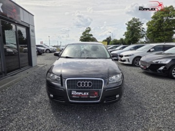 Audi A3 8P Hatchback 3d 1.6 102KM 2006 Audi A3 Sportback 1.6 Benzyna 102KM Automat Klimatronic Zadbany 1.6 Benzyna, zdjęcie 2