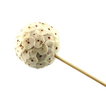 SZOLA KULA jasna kółka shola ball sola na stroiki