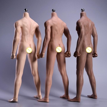 Масштаб 1/6, мускулистая кожа, мускулистый мужчина, нержавеющая сталь