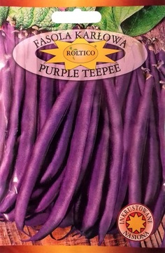 Fasola karłowa Purple Teepee nasiona 30g