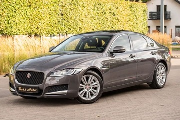 Jaguar XF II Sedan 2.0 i4D 180KM 2016 Jaguar XF XF 2.0D 180KM Full Pano LEdy Skora Camera Navi Full ASO 2.0, zdjęcie 5
