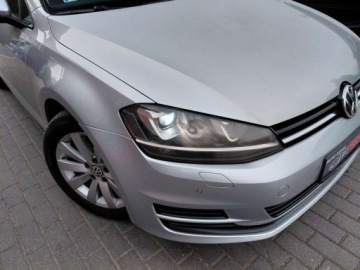 Volkswagen Golf VII Variant 1.6 TDI CR DPF BlueMotion Technology 105KM 2014 Volkswagen Golf Salon Polska Bezwypadek Klimatyzacja 2x PDC Alu 1.6 Diesel, zdjęcie 3