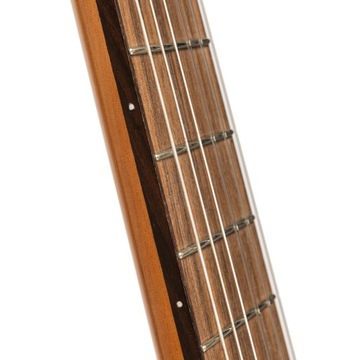 Анхель Лопес Тинто СК - классическая гитара