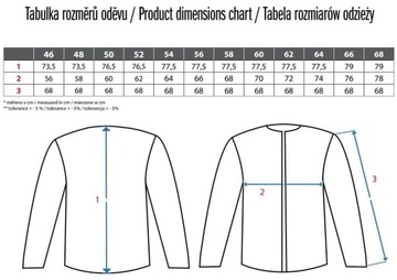 СВИТШОТ CXS ФЕНИКС ПЕРСЕЙ R54
