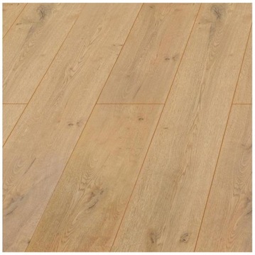 PANELE PODŁOGOWE LAMINOWANE DĄB VERACRUZ AC4 8 MM