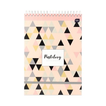 Szkicownik 242x340/80 Pastel Interdruk