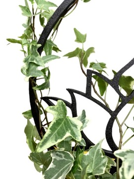 Опоры для цветов, растений, опора для перголы, LOTOS M - 26см, цвета