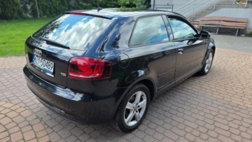 Audi A3 8P Hatchback 3d 1.6 TDI 90KM 2011 AUDI A3 1.6 TDI AMBITION 2011 KLIMATRONIK ALU SUPER STAN! FAKTURA MARŻA!, zdjęcie 17