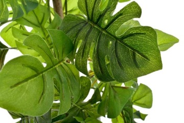 МОНСТЕРА ИСКУССТВЕННОЕ РАСТЕНИЕ В ЦВЕТАХ В ЦВЕТАХ ЛИСТЬЯ 30