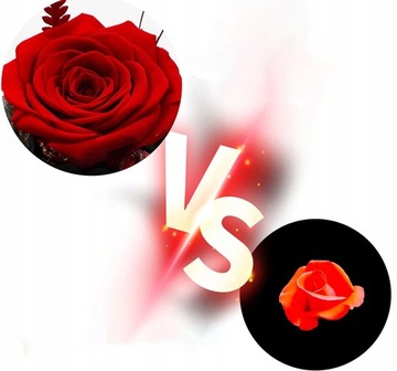 Вечная роза в стеклянном ангельском куполе. Хороший подарок жене на юбилей.