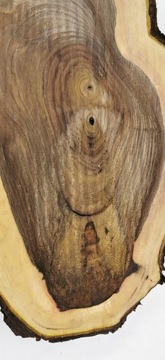 Поднос из грецкого ореха 55х35см Столешница Patera