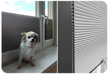 PLISY TERMO PLASTRY MIODU NA WYMIAR 40x100