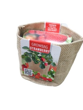 Zestaw do uprawy truskawek starter pack grow bag