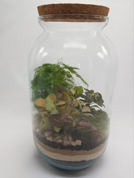 Лес в банке, лес в стекле + ФИГУРКА БУДДА, ХИТ своими руками