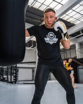 BUSHIDO Боксерские спарринговые перчатки для бокса, 10 унций